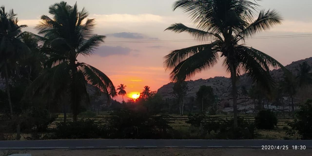 Island Vibes Hampi Guesthouse Ngoại thất bức ảnh